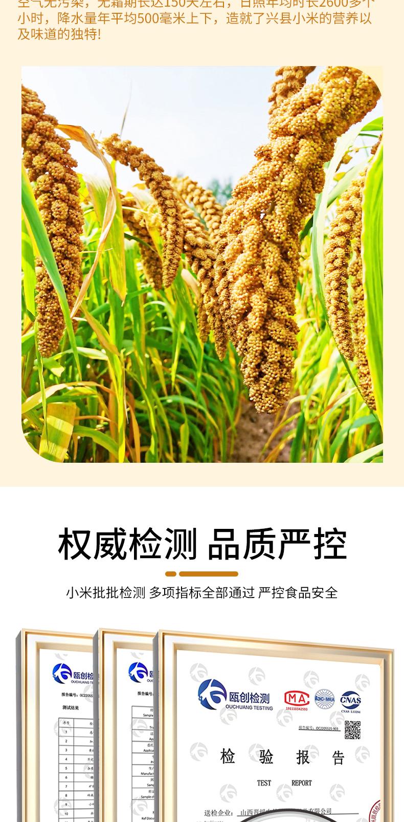 有机小米小黄米 - 13428874148925401.jpg
